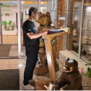 5.크로아티아 폴리트 비체 레이크 국립공원 25.5.1 이미지