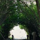 썬셋 오션 | 국내여행] 갯벌체험과 바베큐가 모두 가능한 태안 오션뷰 썬셋스테이&amp;그릴 펜션 (내돈내산 솔직후기)