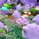 큰손인형뽑기놀이터 | 아이와 함께 가기 전 꼭 알아야 할 서울 성수동 핫플 메타몽 놀이터 팝업 후기