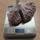 고성오조로 이미지