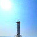 표선동서로 이미지