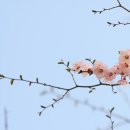 달빛마을 이미지