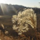 서랑동문화마을 이미지