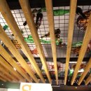 비어플러스 이미지