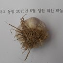 정도농장 이미지