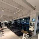 피크짐(PEAK GYM) | [수원] 인계동 24시 헬스장 추천 짐피크