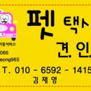 해운대 펫택시 이미지