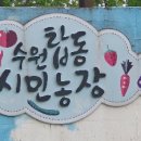 수원농장 이미지