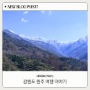 평원로중앙시장(51005) | 강원도 원주 여행 코스 추천 | 가평잣두부. 원주도래미시장 만두골목. 치악산 구룡사 주차꿀팁