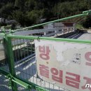 파주양돈단지(4) 뉴스1