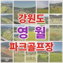 팔괴로1 티스토리