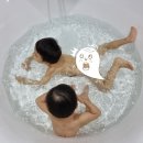 디니다스 | 강원도 강릉 럭셔리 독채 디니다스 펜션 아기랑 가족여행 내돈내산 후기