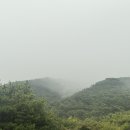 봉성로 | [구례] 성삼재 출발 지리산 노고단 정상 코스 후기 (feat. 곰탕과 흑돼지..)