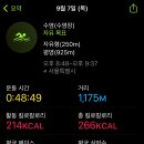 미진수영장 이미지