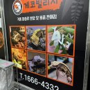 게코빌리지 | •게코빌리지 생생한 후기• 사장님이 최고야~!