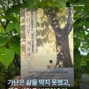 헌법재판관 문형배 이야기, 『느티나무 재판관』 이미지
