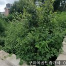 선원면사무소 이미지