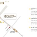 와이트리문화센터 Daum카페