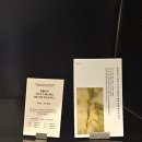 티에이 | [용산 서울역] 센터커피 추천 후기 | 여행 전 들르기 좋은 오미자 티에이드 맛집