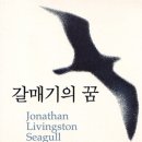 갈매기의 꿈 이미지
