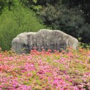 천안대로 이미지