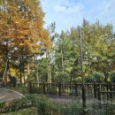 영림공인중개사사무소 이미지