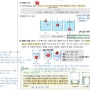 [질문드려요] 물체에 작용하는 부력 이미지