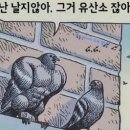영등동-60 이미지