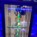 신대게임랜드 이미지