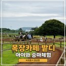 챔피온오토바이 | 제주 성산승마 말먹이주기 카트체험까지 아이와가볼만한곳 목장카페 밭디