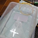 선사크리닝 이미지