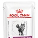 위드피시 이미지