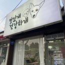 한빛아동병원 | 경주 애견수제간식 ‘맛있개 건강하개’ 펫 아로마 원데이 클래스 까지 :)