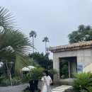 너븐 | [제주] 서귀포 감성카페 ‘너븐’ 더녀온 후기