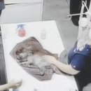 광주동물병원 이미지