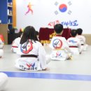 세종태권도장 이미지