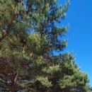 지리산둘레길19구간(오미~난동).그리고 17구간(토지면~오미) 이미지