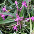 설국농장 이미지