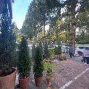 외동반림로248번길 이미지