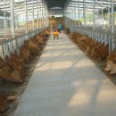 구암한우농장 이미지