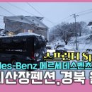 울진숲속의산장펜션 이미지