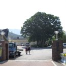 파평주유소 | 한북정맥 (큰넉고개-죽엽산-축석령)