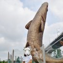 황어장터 화장실 이미지