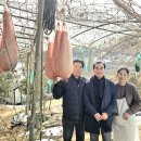 김용범농장 네이버블로그