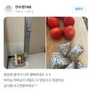 담아정 | [담아정] 담아정 꽃과일바구니 분당 과일바구니 2탄