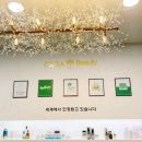 드림속눈썹