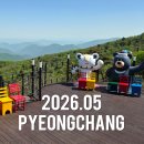 도깨비찐빵꽈배기 | 평창 여행 2박3일 코스 5월 봄 일정 총정리