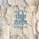 리본닷(Ribbondot)