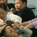 머리채 Daum카페