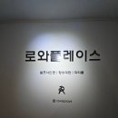 [대전] 대전대흥동파티룸 추천, 로와플레이스 나이트 대관 후기 (숙박가능 파티룸)